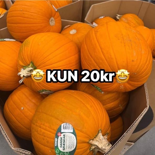 Græskar